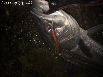 �����Х�