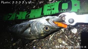 �����Х�