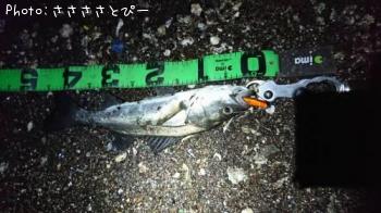 �����Х�