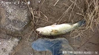 �顼���ޥ���