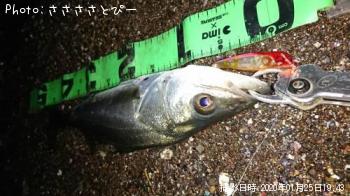 �����Х�