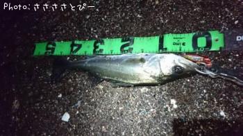 �����Х�