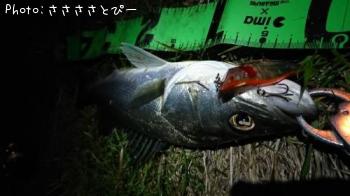 �����Х�