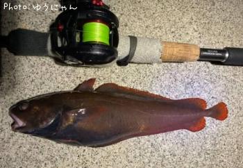 �������������ʥ�