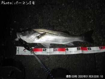 �����Х�