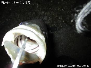 �����Х�