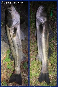 �����Х�