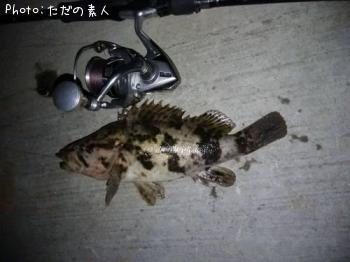 ¥¿¥±¥Î¥³¥á¥Ð¥ë