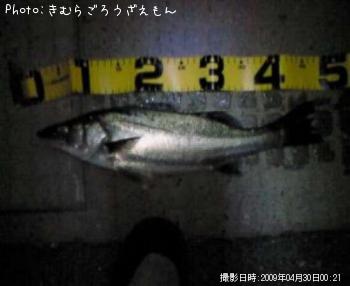 �����Х�