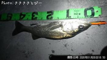 �����Х�