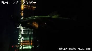 �����Х�