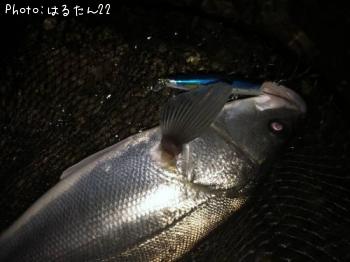 �����Х�