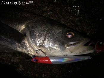 �����Х�