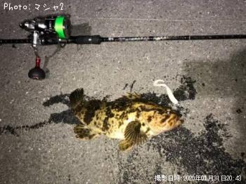 �٥å�������