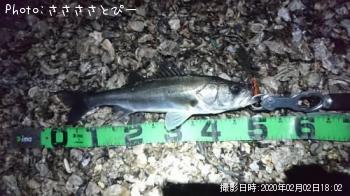 �����Х�