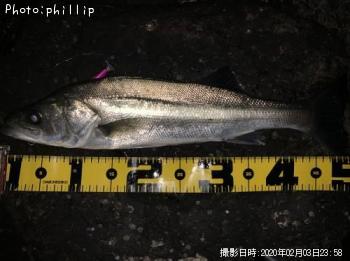 �����Х�