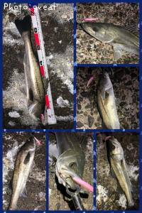 �����Х�