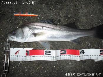 �����Х�