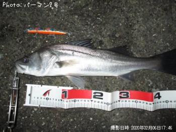 �����Х�