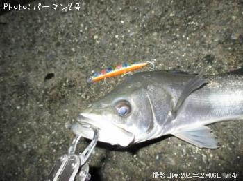 �����Х�