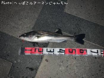 �����Х�