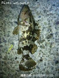 �����Υ���Х�