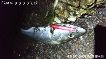 �����Х�