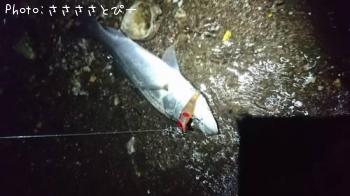 �����Х�