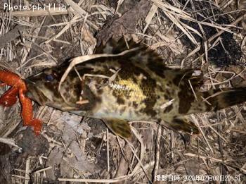 �����Υ���Х�