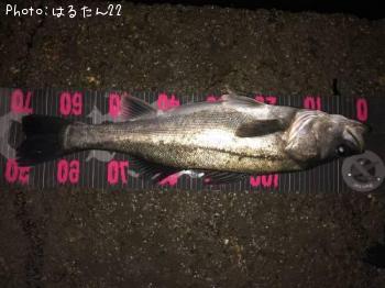 �����Х�