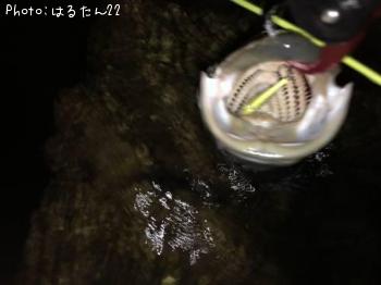 �����Х�