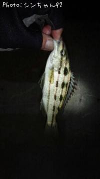 ���ޥ�����