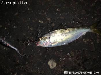 ���Υ���