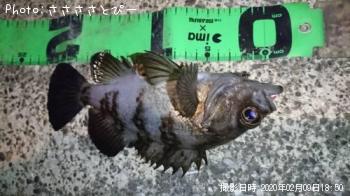 ��Х����饽��