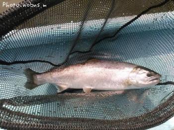 ������ޥ�