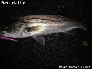 �����Х�