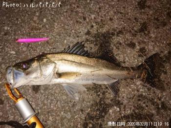 �����Х�