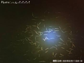 �����Х�