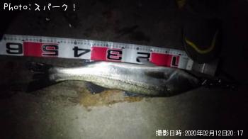 �����Х�