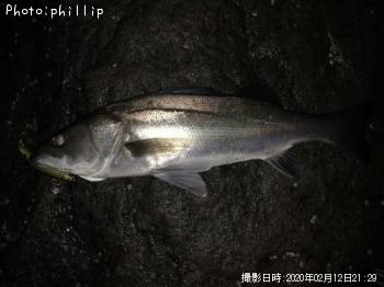 �����Х�