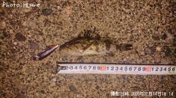 �����Υ���Х�