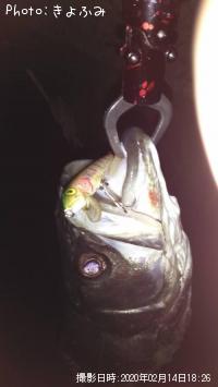 �����Х�