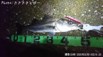 �����Х�