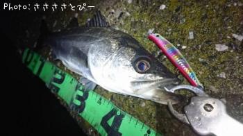 �����Х�