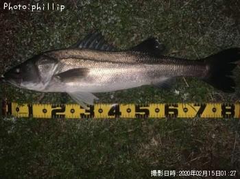 �����Х�