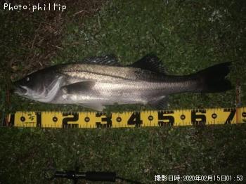 �����Х�