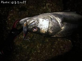 �����Х�