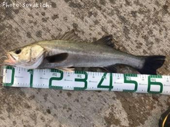 �����Х�