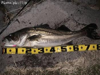 �����Х�