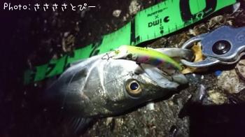 �����Х�